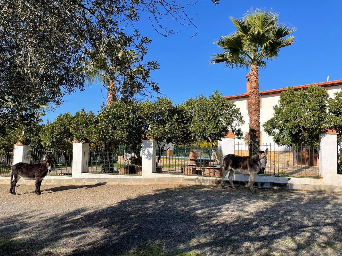 Casa Rural La Galvana اراسنا المظهر الخارجي الصورة